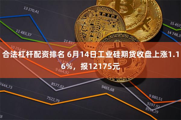 合法杠杆配资排名 6月14日工业硅期货收盘上涨1.16%，报12175元