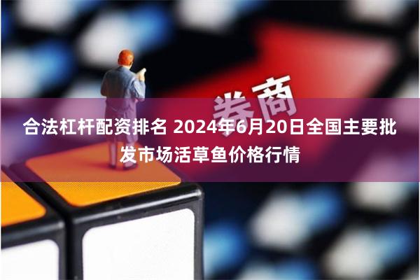 合法杠杆配资排名 2024年6月20日全国主要批发市场活草鱼价格行情