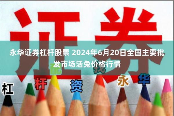 永华证券杠杆股票 2024年6月20日全国主要批发市场活兔价格行情