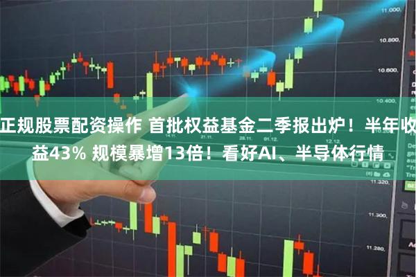 正规股票配资操作 首批权益基金二季报出炉！半年收益43% 规模暴增13倍！看好AI、半导体行情