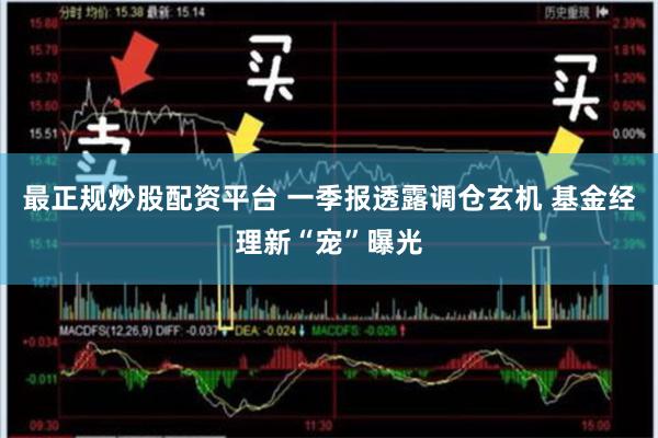 最正规炒股配资平台 一季报透露调仓玄机 基金经理新“宠”曝光