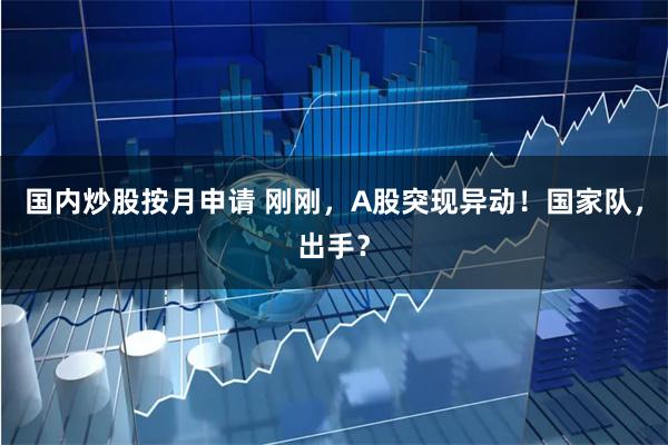 国内炒股按月申请 刚刚，A股突现异动！国家队，出手？