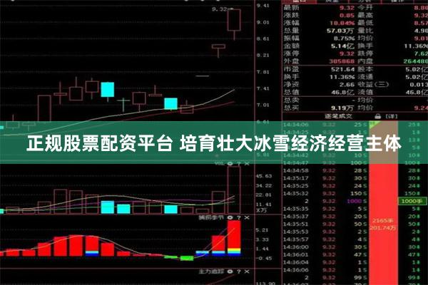 正规股票配资平台 培育壮大冰雪经济经营主体