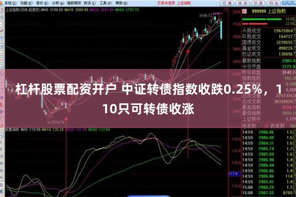 杠杆股票配资开户 中证转债指数收跌0.25%，110只可转债收涨