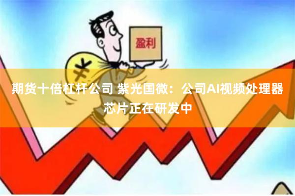 期货十倍杠杆公司 紫光国微：公司AI视频处理器芯片正在研发中