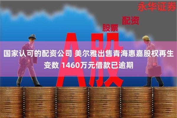 国家认可的配资公司 美尔雅出售青海惠嘉股权再生变数 1460万元借款已逾期
