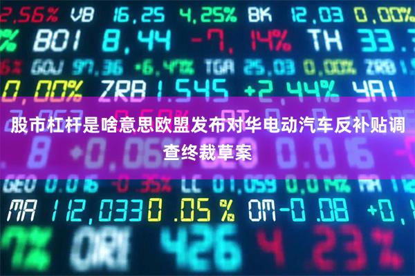 股市杠杆是啥意思欧盟发布对华电动汽车反补贴调查终裁草案