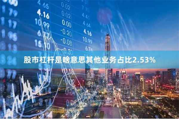 股市杠杆是啥意思其他业务占比2.53%