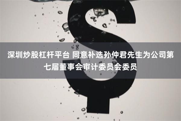 深圳炒股杠杆平台 同意补选孙仲君先生为公司第七届董事会审计委员会委员